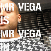 Mr Vega - New Stash
