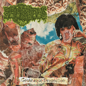 Grotesque Prosection