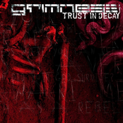 Trust In Decay by Grimness