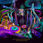 Als Je Hoofd In De Rook Is Verdwenen/Land Van Pracht & Praal