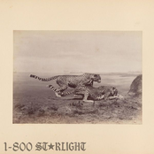 Starlight (1-800 GIRLS Remix)