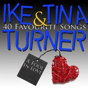 selection of ike & tina turner vol. 2