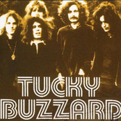 tucky buzzard