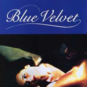 Blue Velvet: Blue Velvet