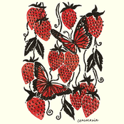 Margaritas Podridas: Ceremonia