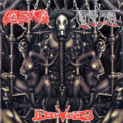 Grog / Roadside Burial / Pussyvibes [Split]