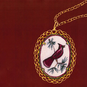 Friko: Where we've been, Where we go from here