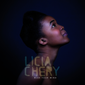 Dream For More by Licia Chery