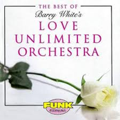 Don't You Know How Much I Love You by Love Unlimited Orchestra