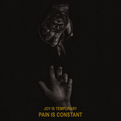 Joy is Temporary, Pain is Constant