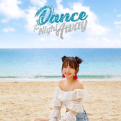 Dance The Night Away