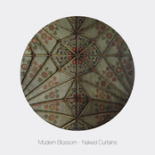 Naked Curtains