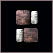 Iron Forest Anomaly