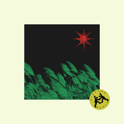 Where The Wind Blows