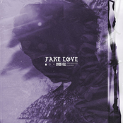 Divide The Fall: Fake Love