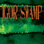 On Moss by Igor Swamp