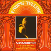 Fading Yellow Vol 15