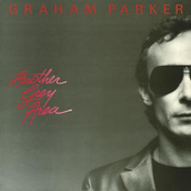 Graham Parker: Another Grey Area