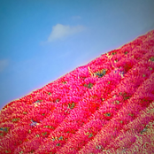 Strawberry Fields Forever (Cover)