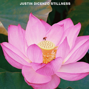 Stillness