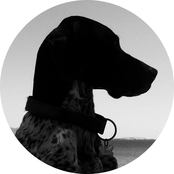 A Strange Light from the East