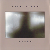 Neesh Zone by Mike Stern
