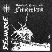 Recharge & Extinct Government Split EP