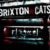 Les Anges by Brixton Cats