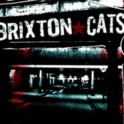 Brixton Cats