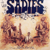 Oak Ridges by The Sadies