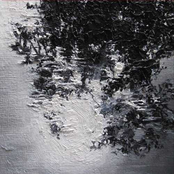 Canopy - EP