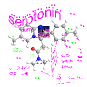 serotonin dump