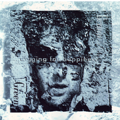 Digging For Happiness