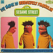 Roosevelt Franklin Counts by Sesame Street