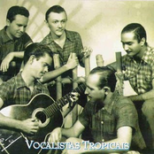 vocalistas tropicais