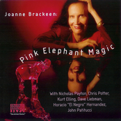 Pink Elephant Magic by Joanne Brackeen