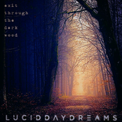 Exit Through the Dark Wood