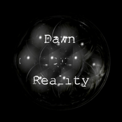 dawn of reality