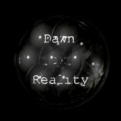 Dawn Of Reality