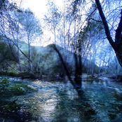 Over The Bridge and Through The Woods