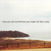 I Love You But Sometimes You Make Me Feel Crazy by Chris Rubeo