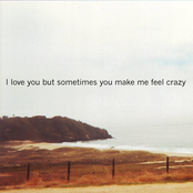 I love you but sometimes you make me feel crazy