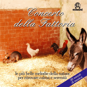 Concerto della Fattoria (Ecosound relax meditazione)