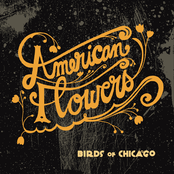 Birds of Chicago: American Flowers