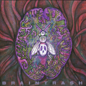 BRAINTRASH