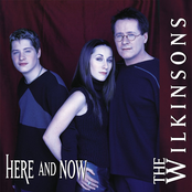 Till You Let Go by The Wilkinsons