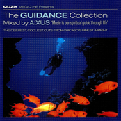 The Guidance Collection
