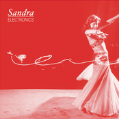 It Slipped Her Mind by Sandra Electronics