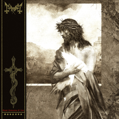 Mayhem: Grand Declaration of War