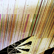 MADMENXX_B_ [Versions]